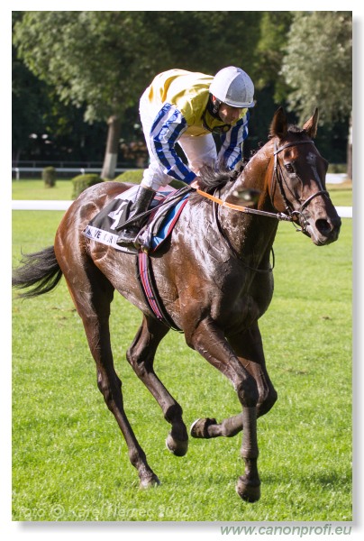 Bratislava - 15. jla 2012