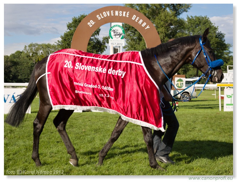 Bratislava - 15. jla 2012