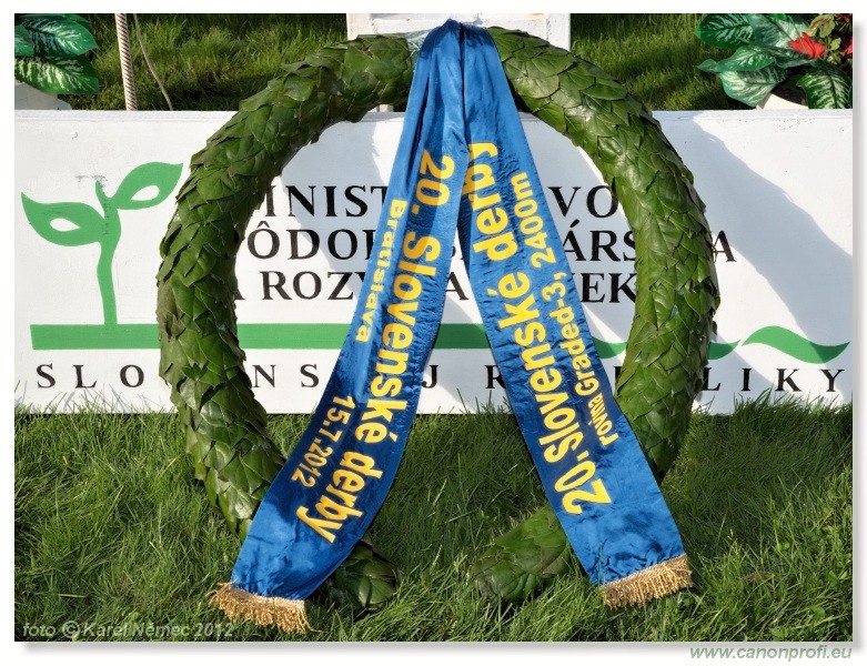 Bratislava - 15. jla 2012