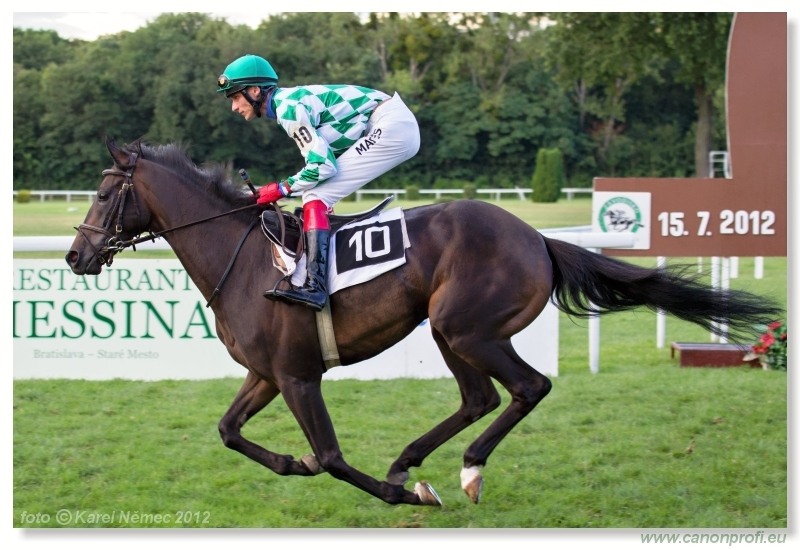 Bratislava - 15. jla 2012