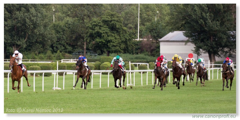 Bratislava - 15. jla 2012