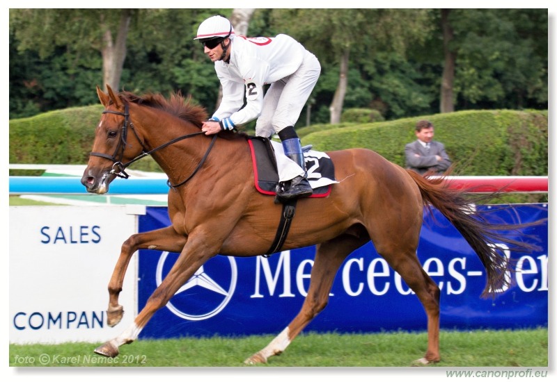 Bratislava - 15. jla 2012