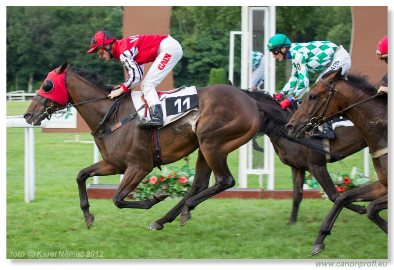 Bratislava - 15. jla 2012