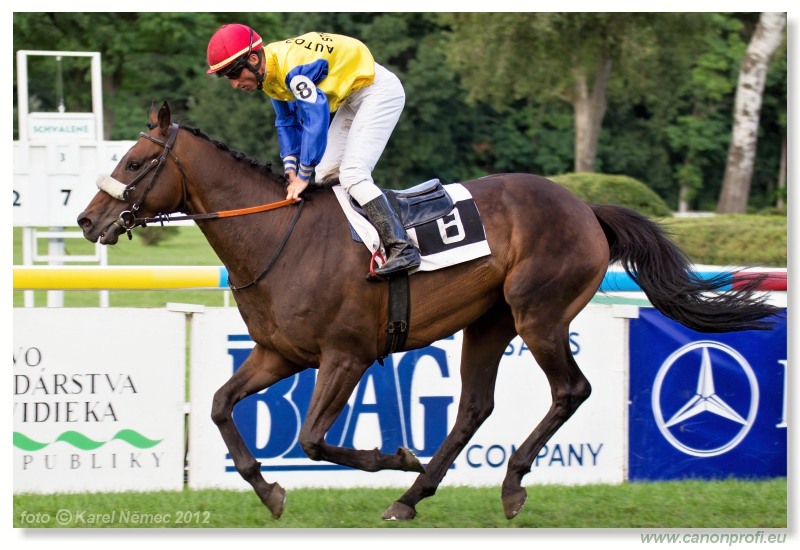 Bratislava - 15. jla 2012