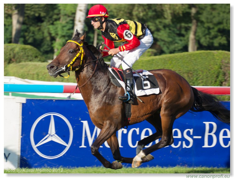 Bratislava - 15. jla 2012