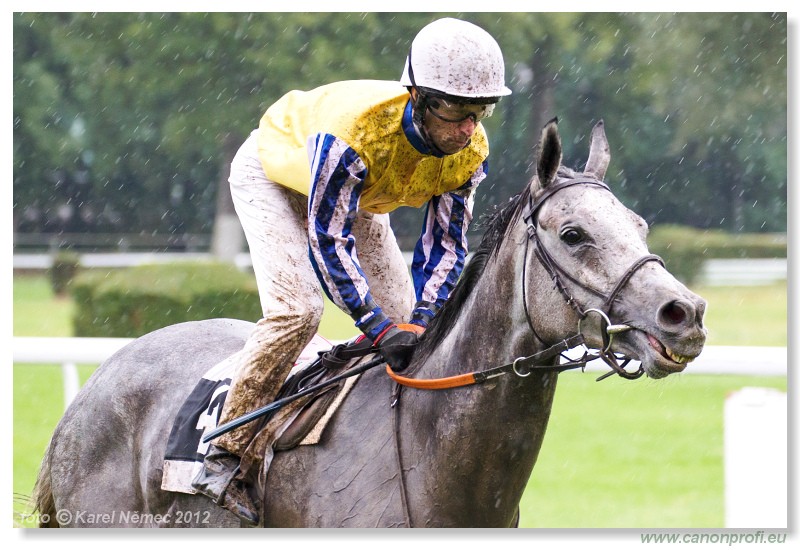 Bratislava - 26. august 2012 