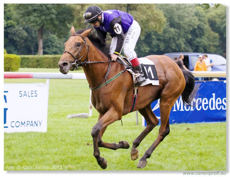 Bratislava - 26. august 2012 