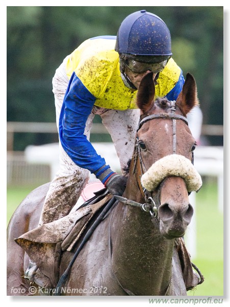 Bratislava - 26. august 2012 