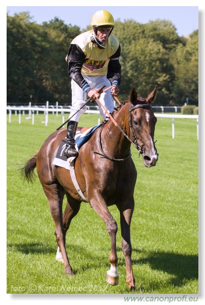 Bratislava - 09. september 2012 