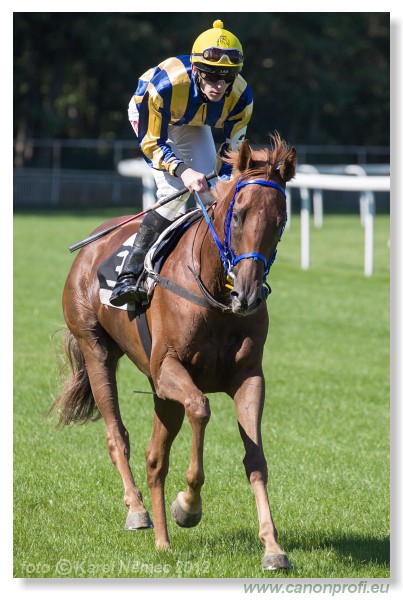 Bratislava - 09. september 2012 