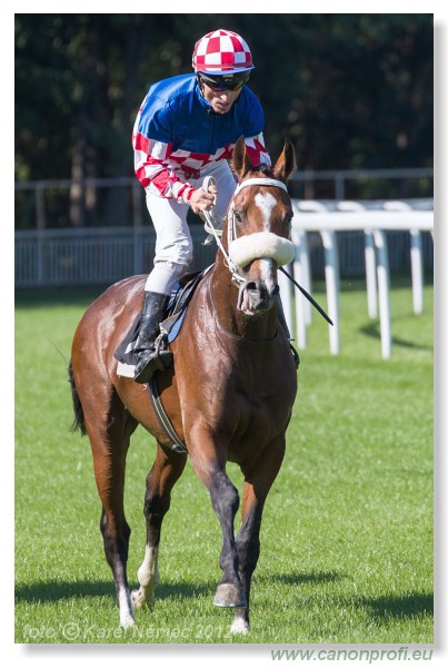 Bratislava - 09. september 2012 