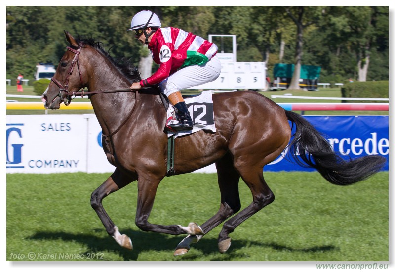 Bratislava - 09. september 2012 