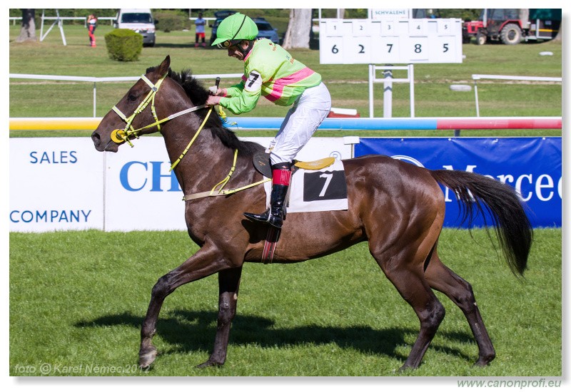 Bratislava - 09. september 2012 