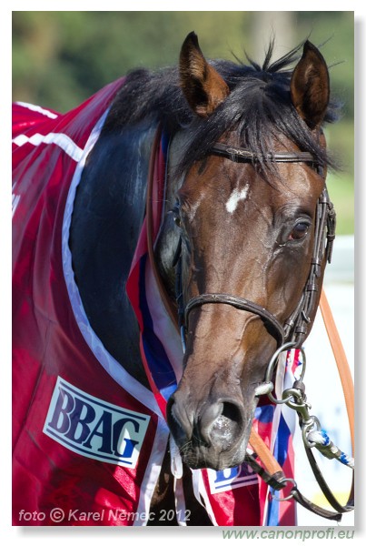 Bratislava - 09. september 2012 