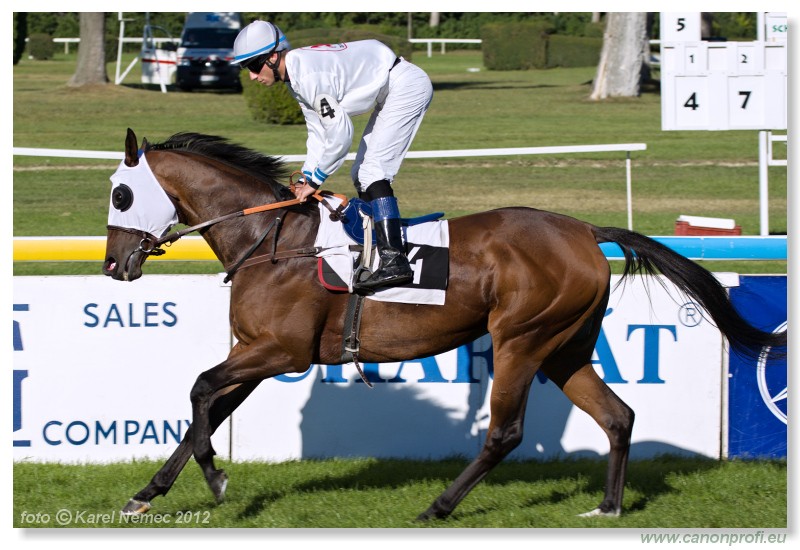 Bratislava - 09. september 2012 