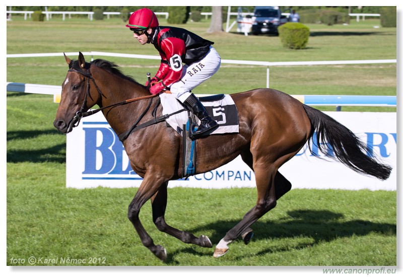 Bratislava - 09. september 2012 