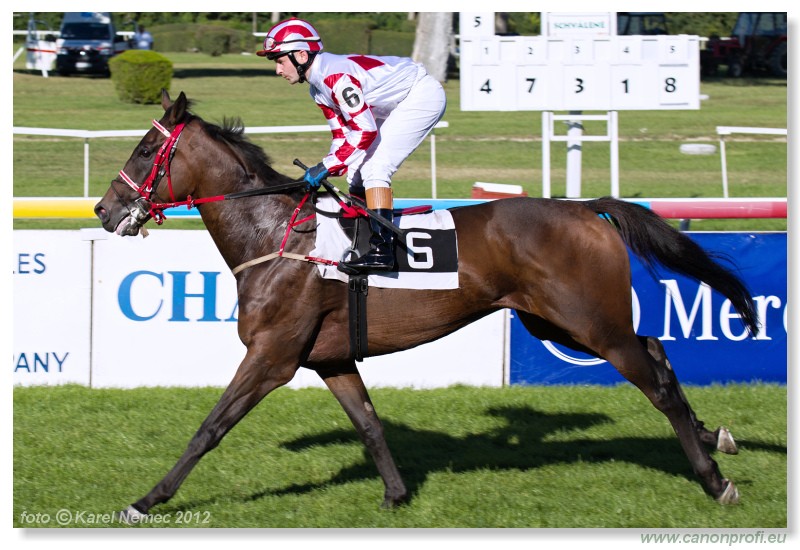 Bratislava - 09. september 2012 