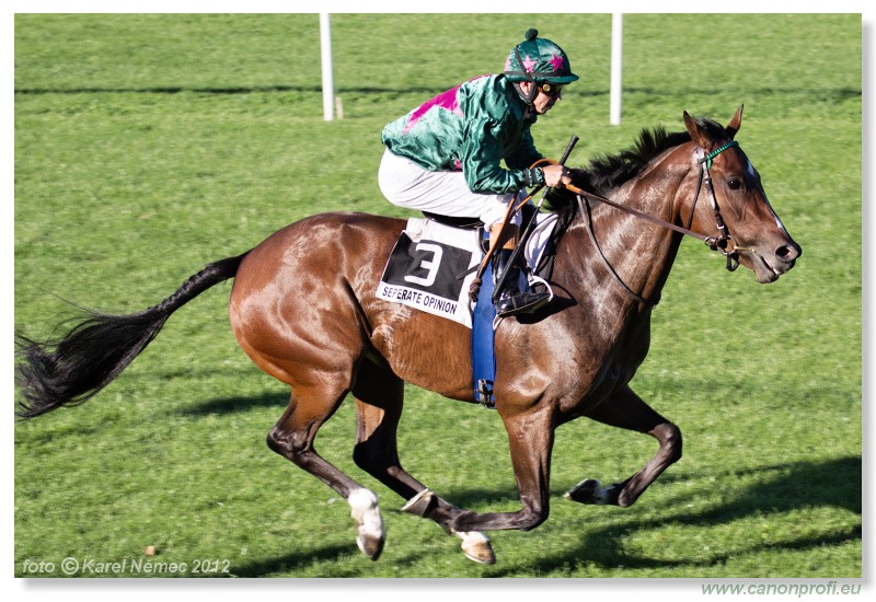 Bratislava - 09. september 2012 