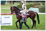Saint Leger CHARVT 