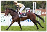 Saint Leger CHARVT 