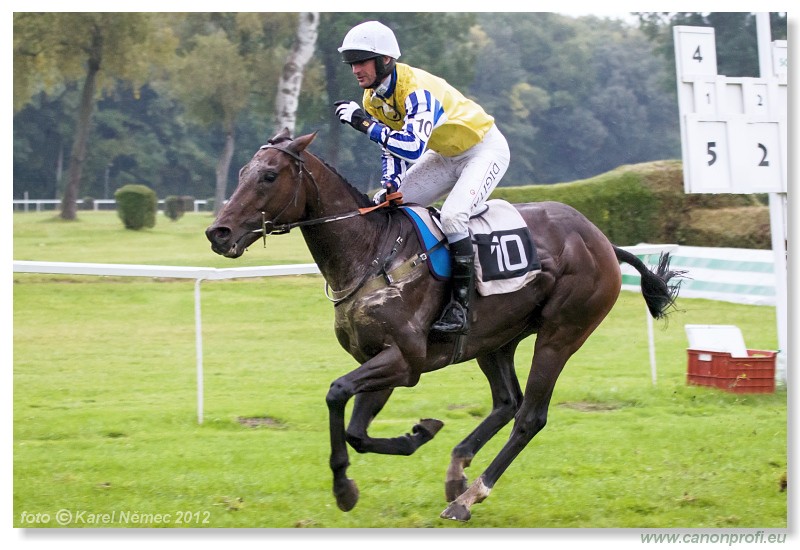 Bratislava - 07. oktober 2012 