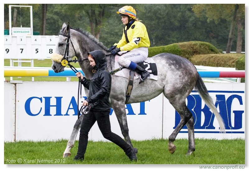 Bratislava - 07. oktober 2012 