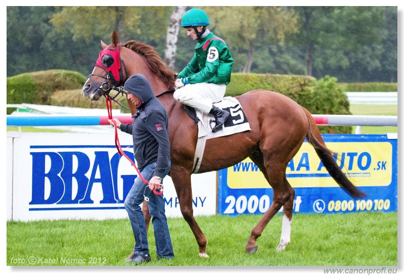 Bratislava - 07. oktober 2012 