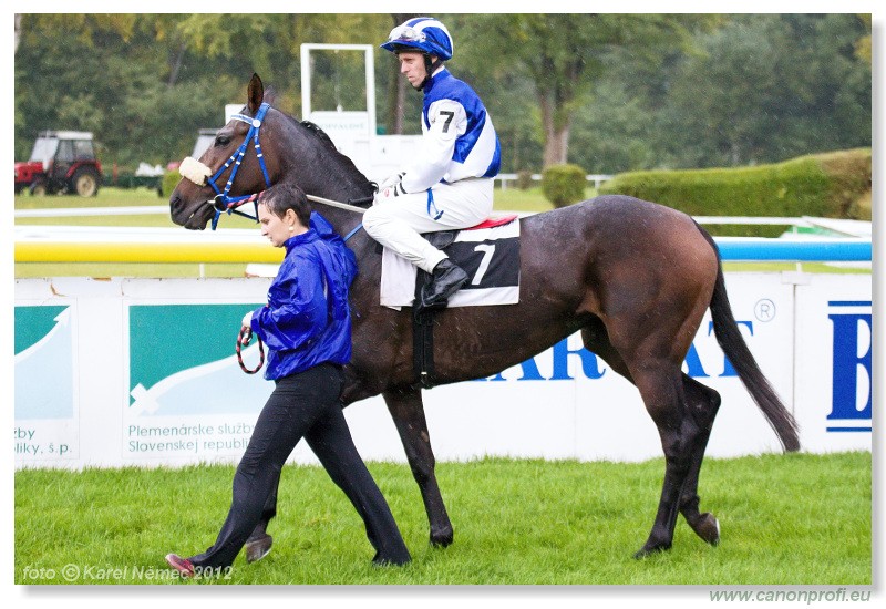 Bratislava - 07. oktober 2012 