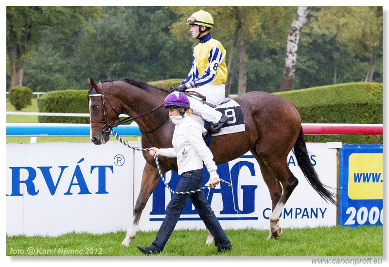 Bratislava - 07. oktober 2012 