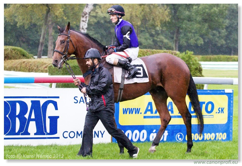 Bratislava - 07. oktober 2012 