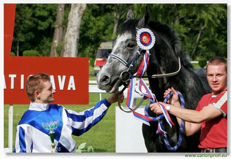 Bratislava - 15. mája 2005