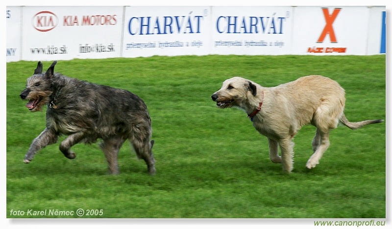 Bratislava - 15. mája 2005