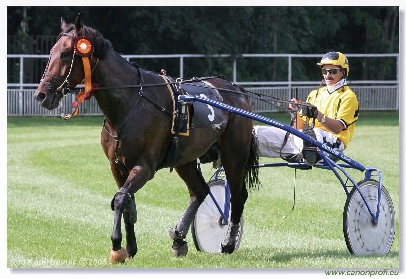 Bratislava - 11. septembra 2005 