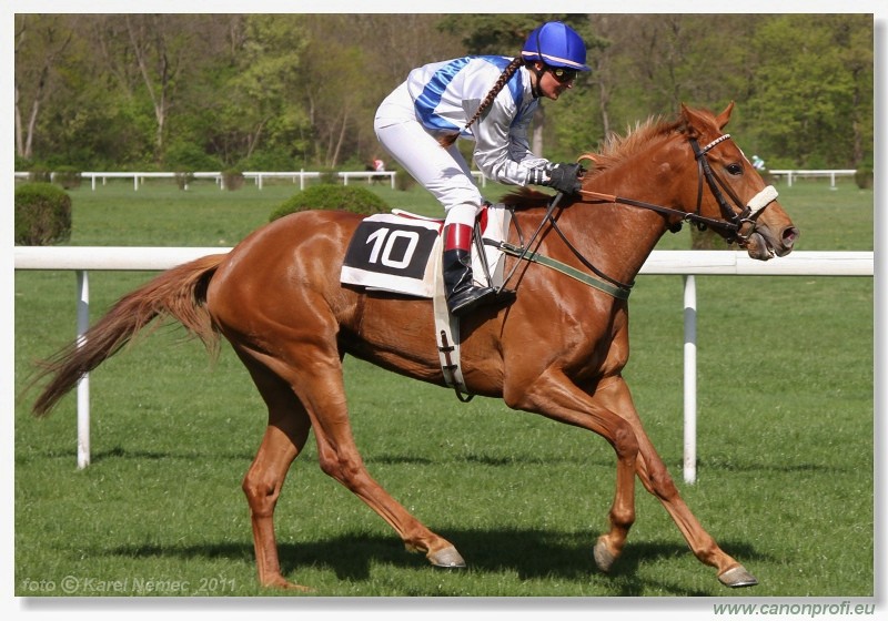 Bratislava - 10. aprla 2011 