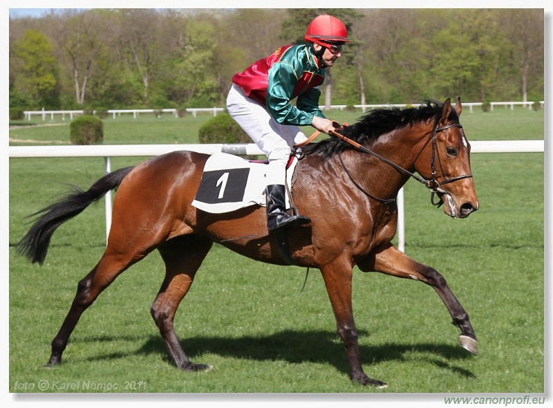 Bratislava - 10. aprla 2011 