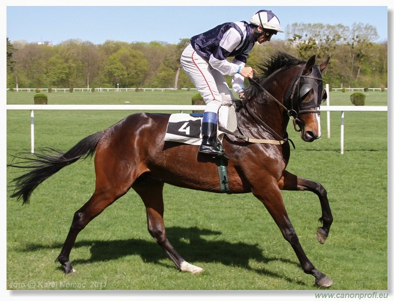 Bratislava - 10. aprla 2011 