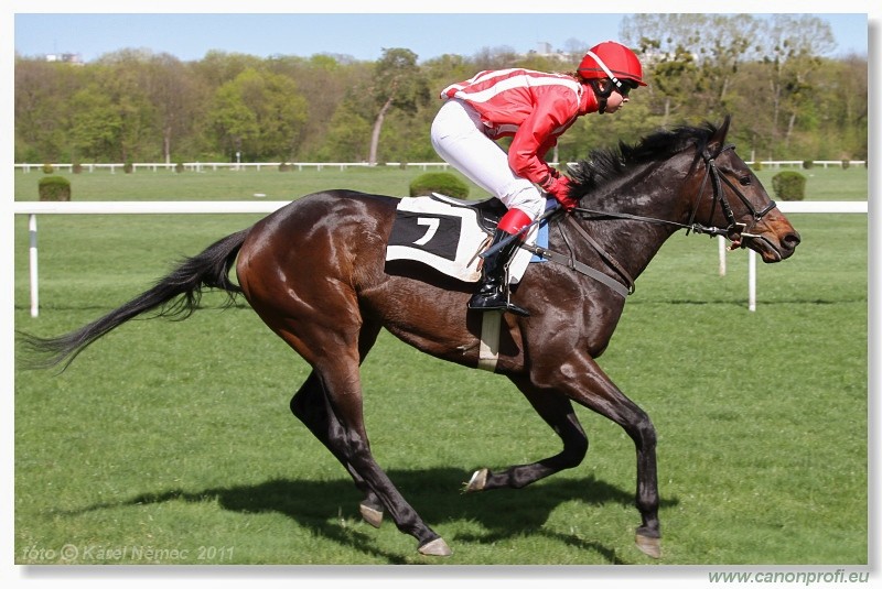 Bratislava - 10. aprla 2011 