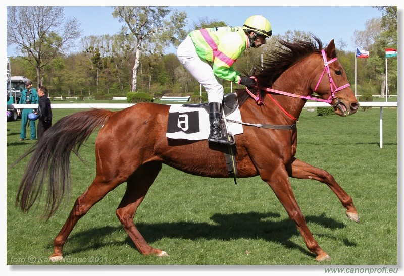 Bratislava - 10. aprla 2011 