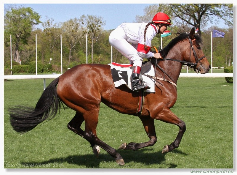 Bratislava - 10. aprla 2011 