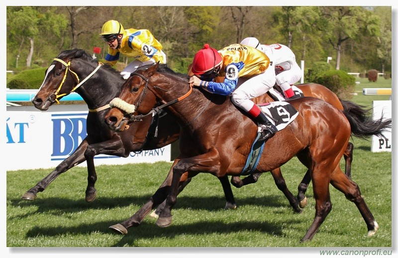 Bratislava - 10. aprla 2011 