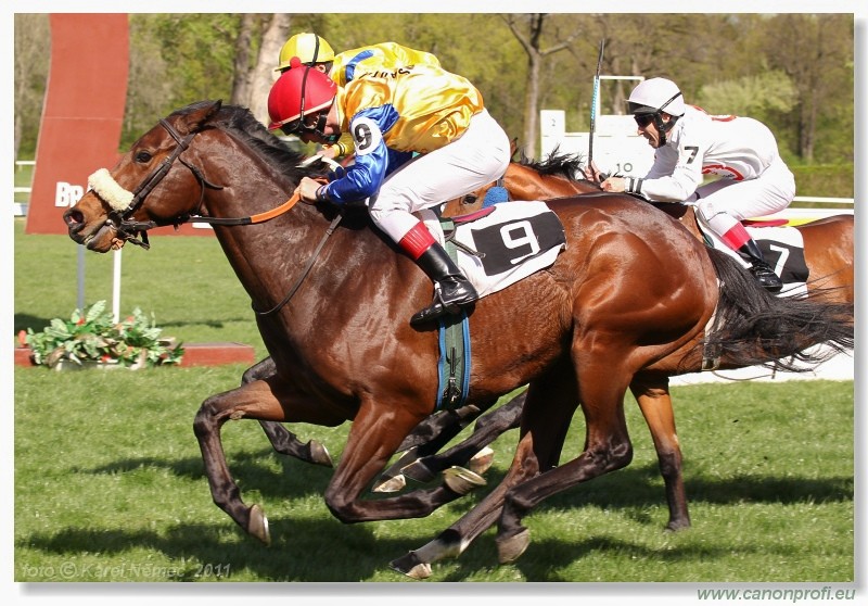 Bratislava - 10. aprla 2011 