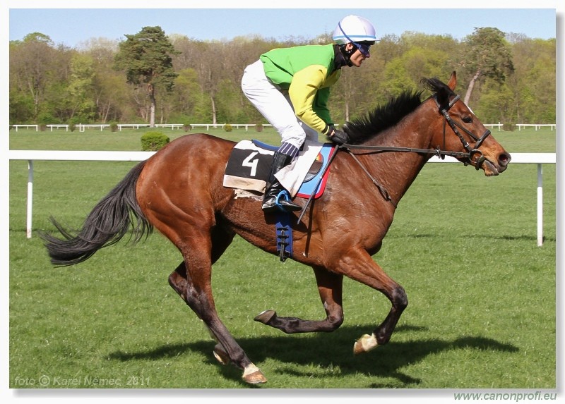 Bratislava - 10. aprla 2011 