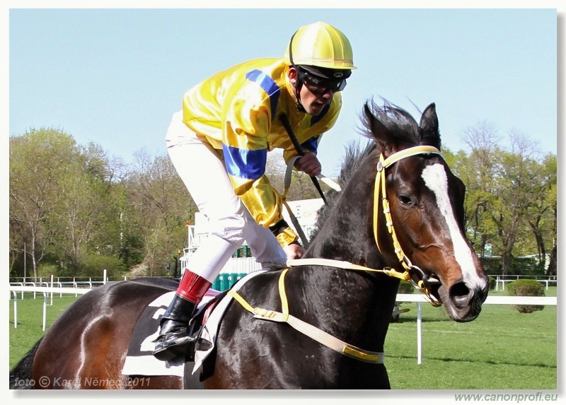 Bratislava - 10. aprla 2011 