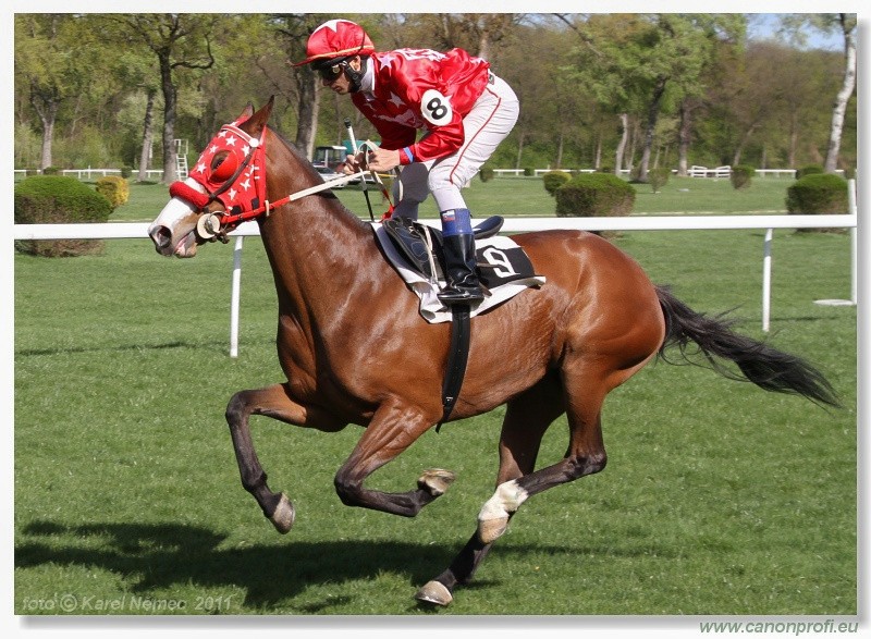 Bratislava - 10. aprla 2011 