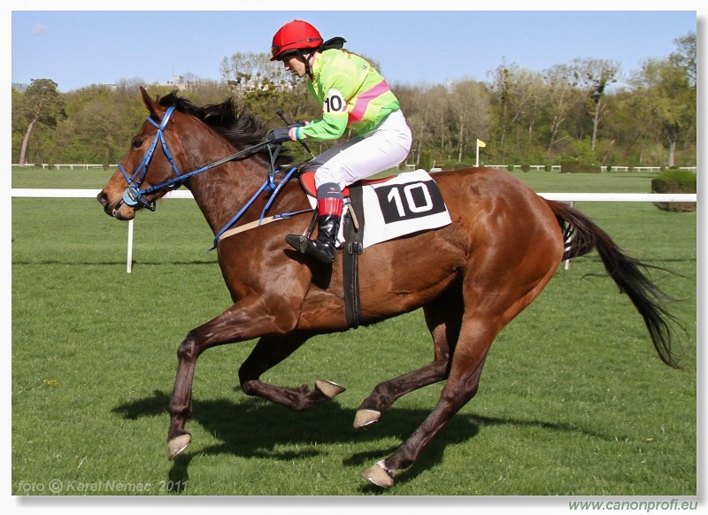 Bratislava - 10. aprla 2011 