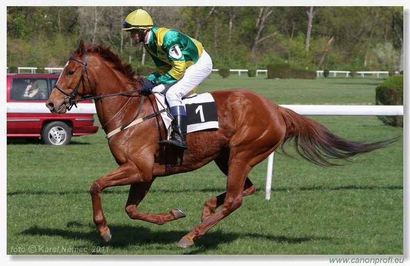 Bratislava - 10. aprla 2011 