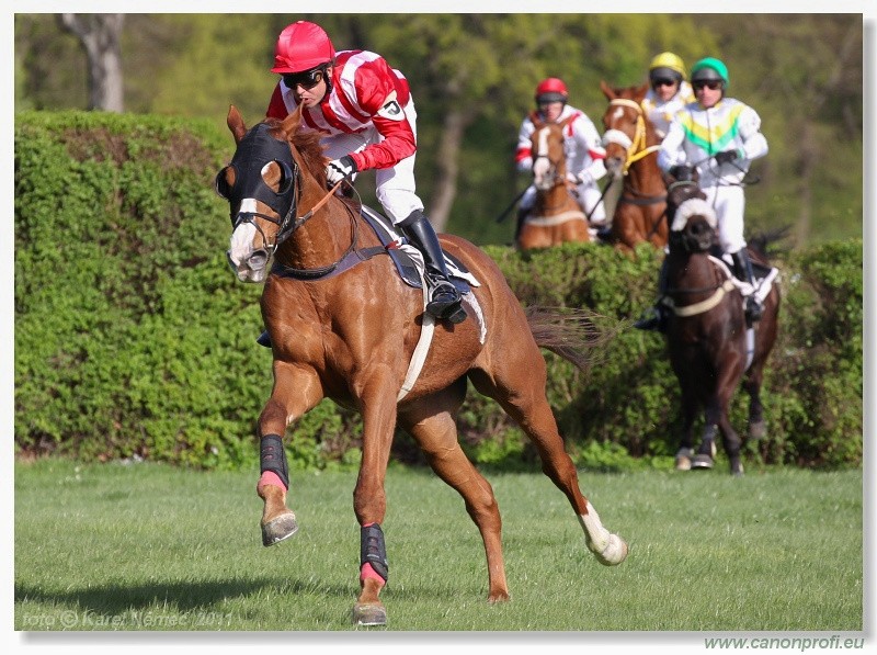 Bratislava - 10. aprla 2011 