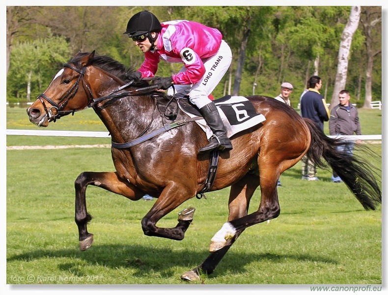 Bratislava - 17. aprla 2011 