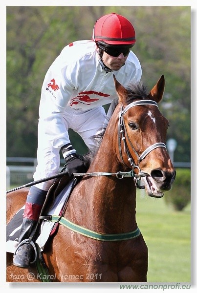 Bratislava - 17. aprla 2011 