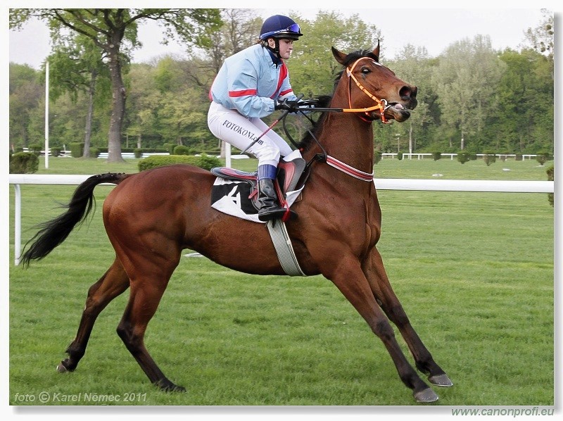 Bratislava - 17. aprla 2011 